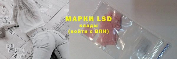 стаф Алексин