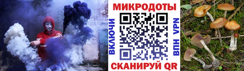 Галлюциногенные грибы MAGIC MUSHROOMS  хочу наркоту  Кимовск 